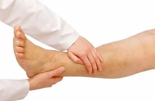 寧姐月嫂進社區，公益講座傳健康 唐山路社區經絡養生講座圓滿舉辦